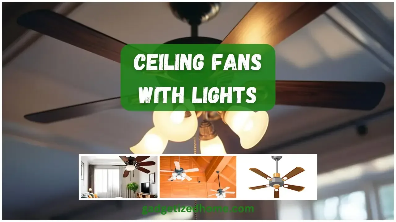 Modern Ceiling Fans with Lights to get multiple benefits