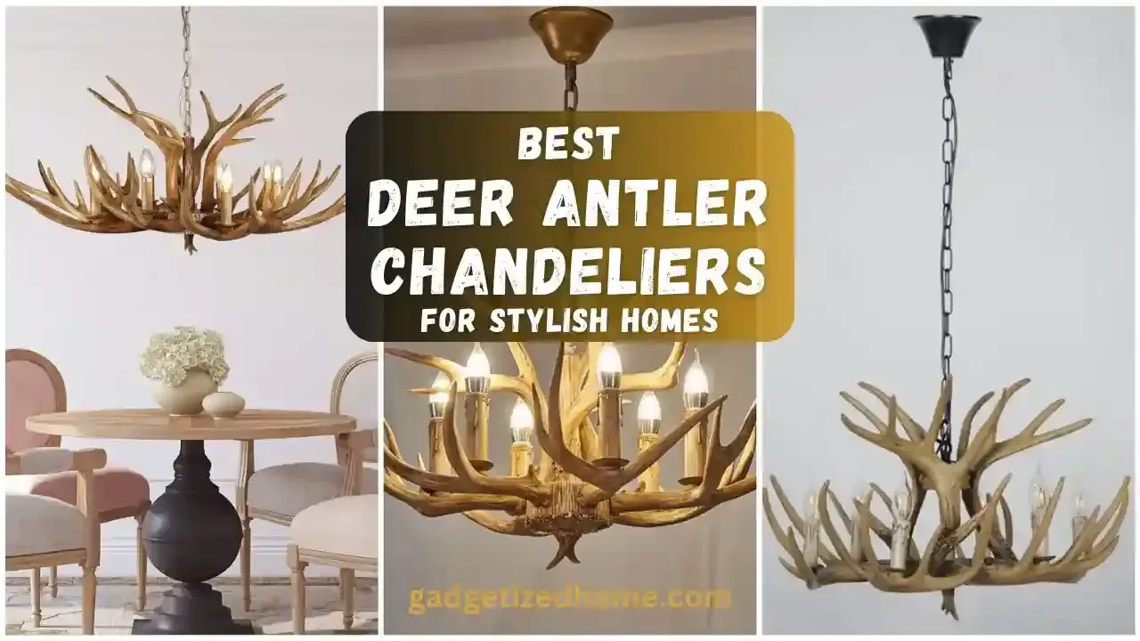 7 Best Deer Antler Chandeliers – (Review)