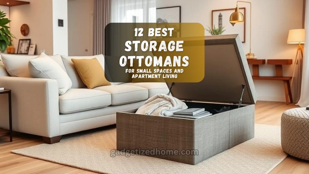 A modern living room with a stylish storage ottoman placed in front of a sofa, showing hidden storage space inside.